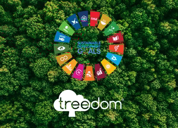 Treedom_SDGs Treedom_SDGs